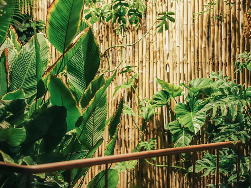 5-homestay I, Vung Tau, Vietnam