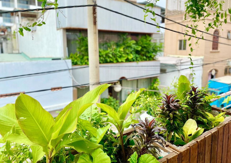 5-homestay I, Vung Tau, Vietnam