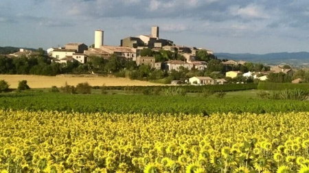 La Vigneronne, Villelongue-d'Aude, France