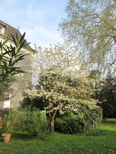 Villa Dampierre, Pau, France
