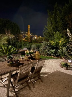 Un palmier à sa fenêtre, Grasse, France