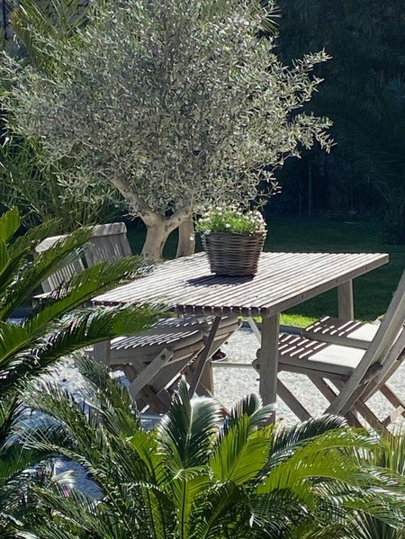 Un palmier à sa fenêtre, Grasse, France