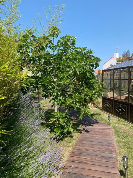Céline et Olivier, Pornic, France