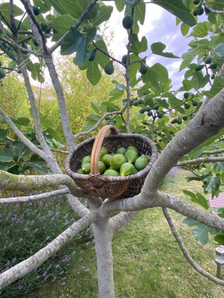 Céline et Olivier, Pornic, France