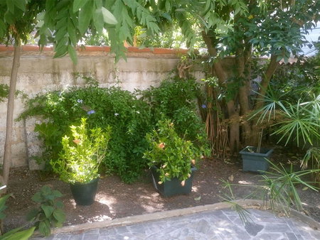 Le Clos Chez Michel, Montpellier, France