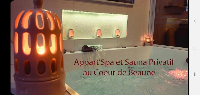 Appart' Spa et Sauna Privatif Au Cœur De Beaune, Beaune, France