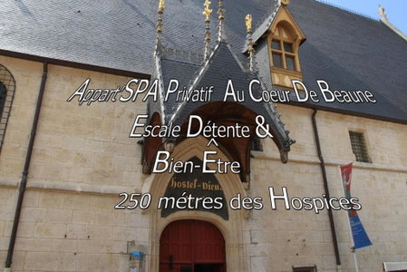 Appart' Spa et Sauna Privatif Au Cœur De Beaune, Beaune, France
