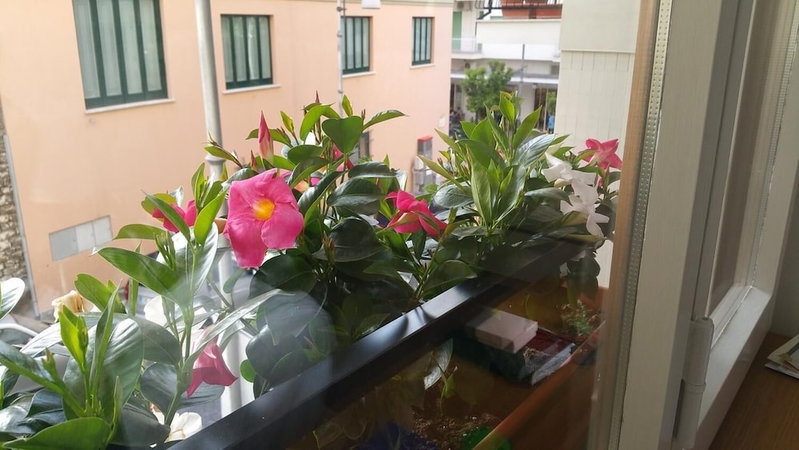 B&B Veru', Sorrento, Italy