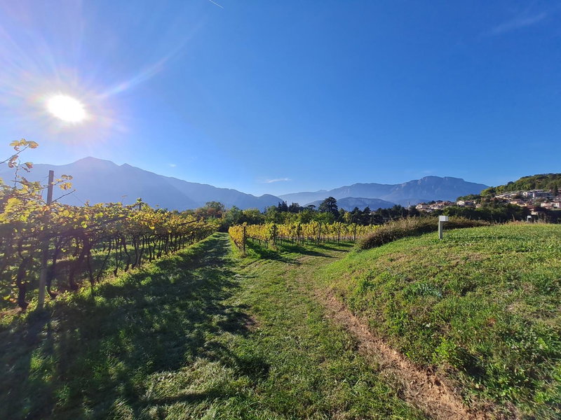 Agritur Ponte Alto, Trento, Italy