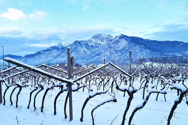 Agritur Ponte Alto, Trento, Italy