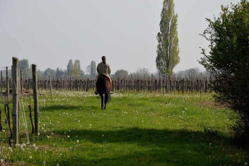 Società Agricola La Staccionata, Staranzano, Italy