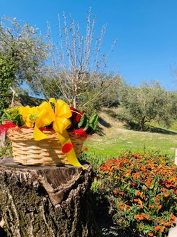 Agriturismo Le Tese, Colà di Lazise, Italy