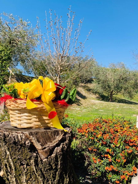 Agriturismo Le Tese, Colà di Lazise, Italy