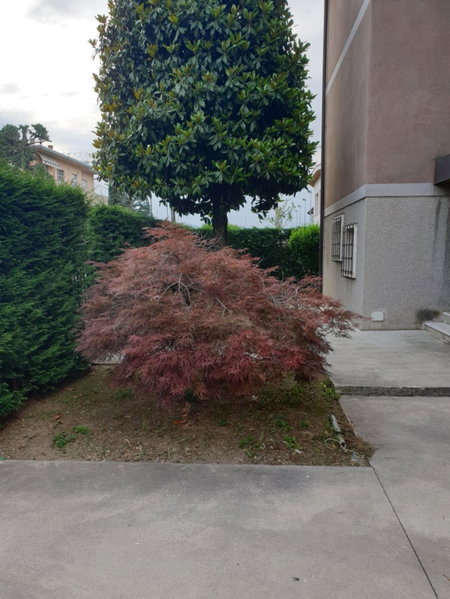 Casa vacanza Orio al Serio Bergamo, Orio al Serio, Italy