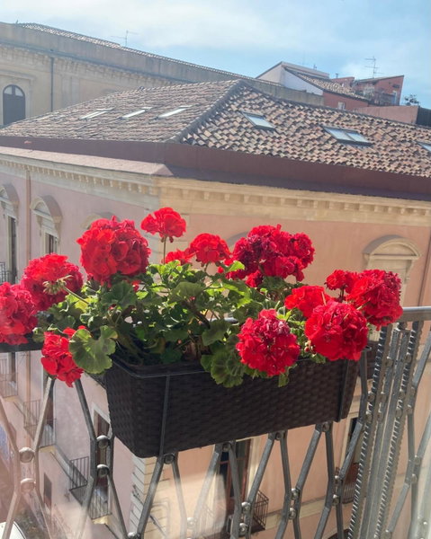 B&B Oriental Palace, Catania, Italy