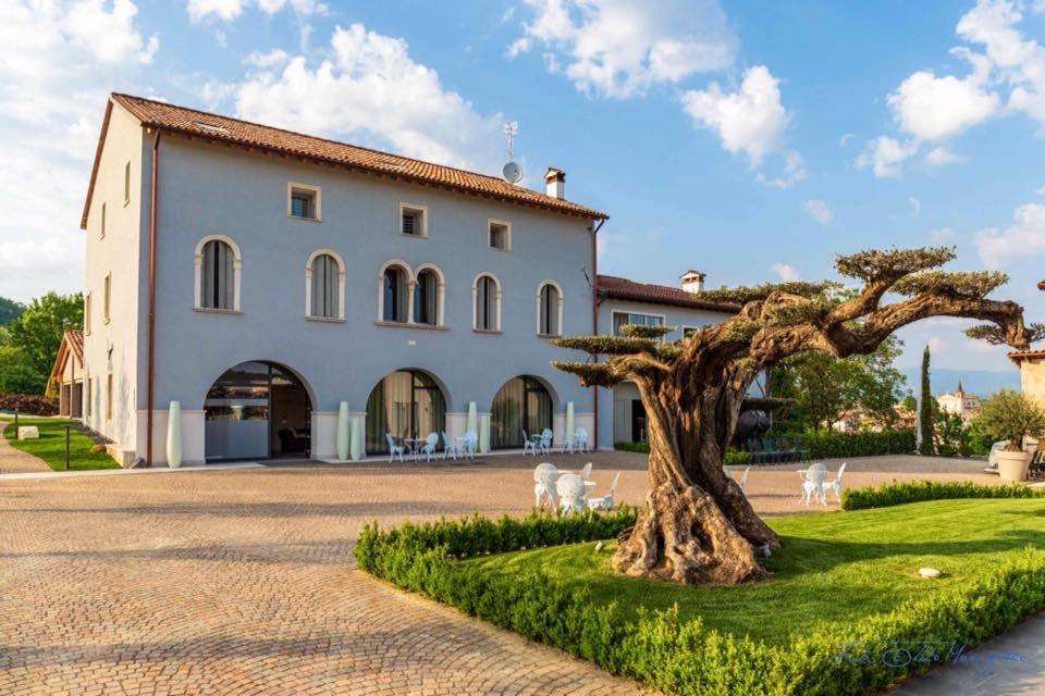 K-Farm, Italy