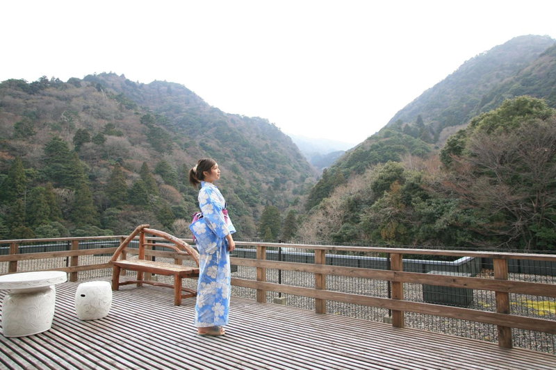 Shikanoyu Hotel, Komono, Japan