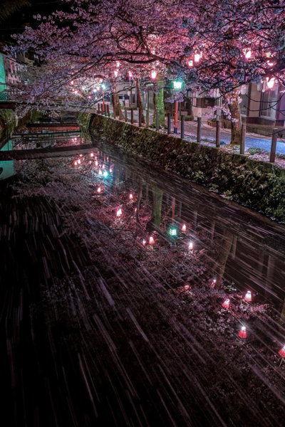Asagiriso, Toyooka, Japan