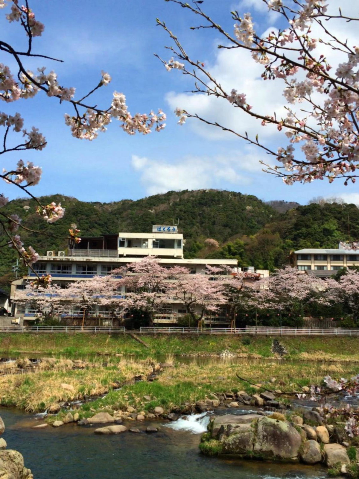 Hotel · Seiryuso, Misasa