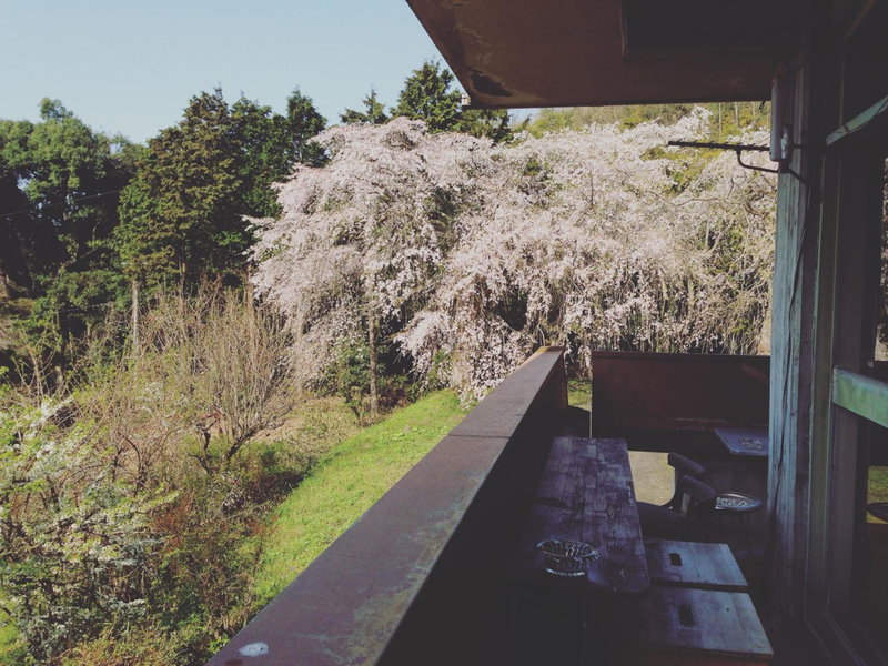 Amanohashidate Youth Hostel, Miyazu, Japan