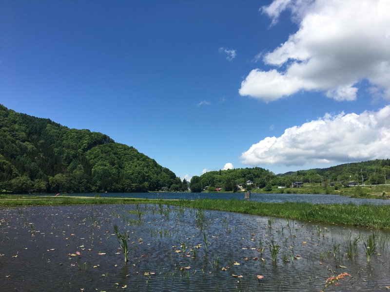 Meteor Garden, Hakuba, Japan