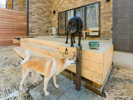 Rakuten STAY VILLA Fuji Kawaguchiko Forest 2LDK with sauna and terrace-Pet Friendly-, Fujikawaguchiko, Japan
