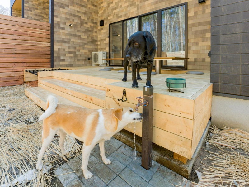 Rakuten STAY VILLA Fuji Kawaguchiko Forest 2LDK with sauna and terrace-Pet Friendly-, Fujikawaguchiko, Japan