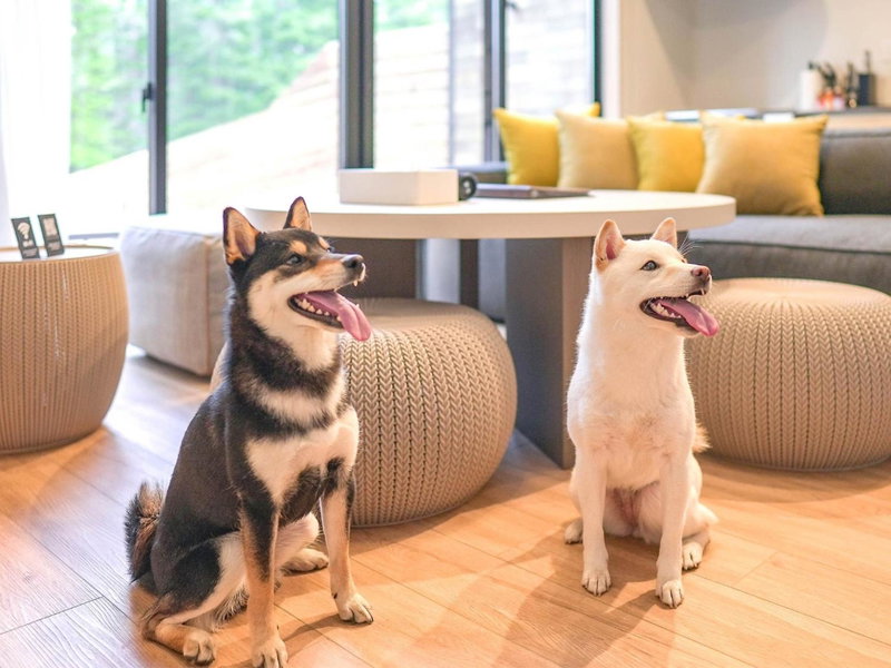 Rakuten STAY VILLA Fuji Kawaguchiko Forest 2LDK with sauna and terrace-Pet Friendly-, Fujikawaguchiko, Japan