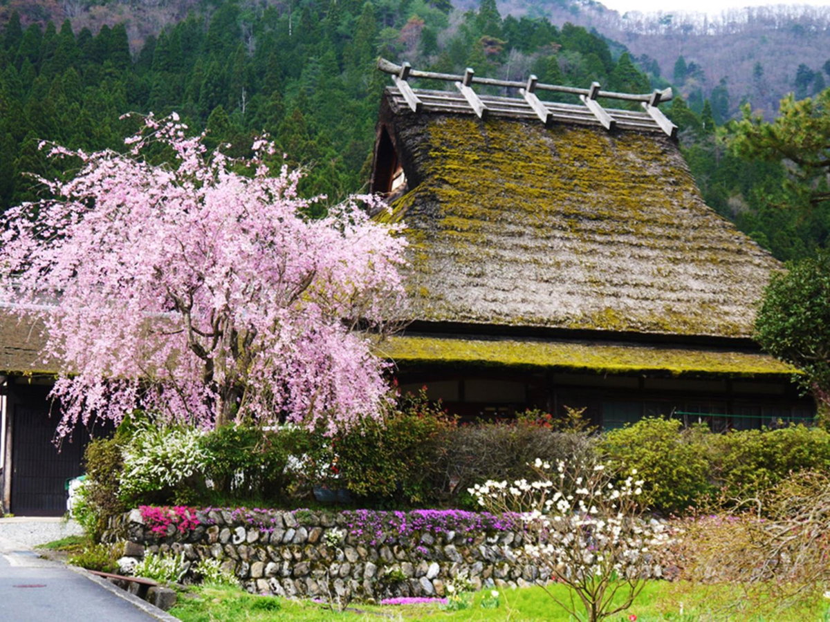 Hotel · Ryokan Chinsen-Rou, Nantan City