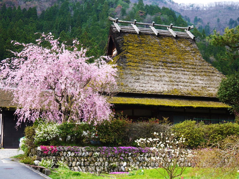 Ryokan Chinsen-Rou, Nantan city, Japan