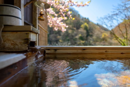 Natsuse Onsen Miyakowasure, Senboku, Japan