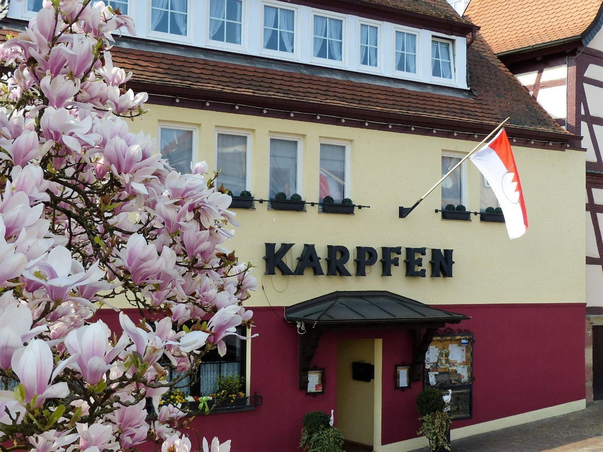 Hotel & Restaurant Zum Karpfen, Germany