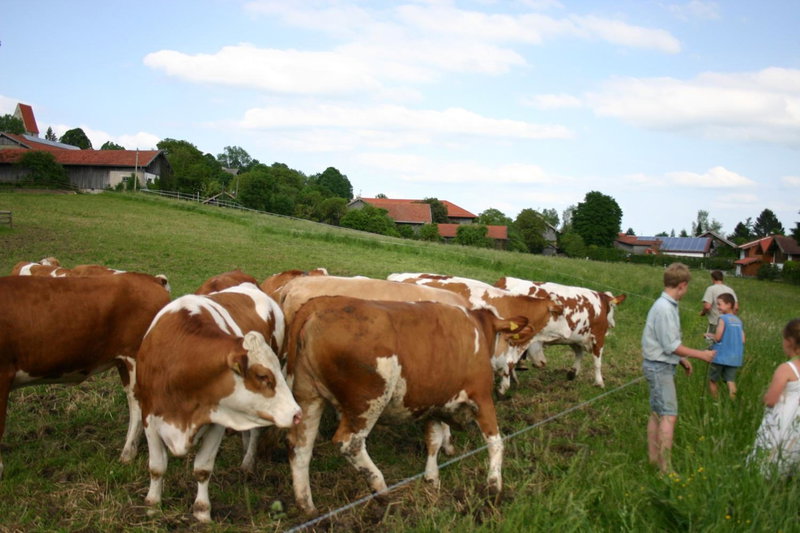 Beim Huber in Linden, Linden, Germany