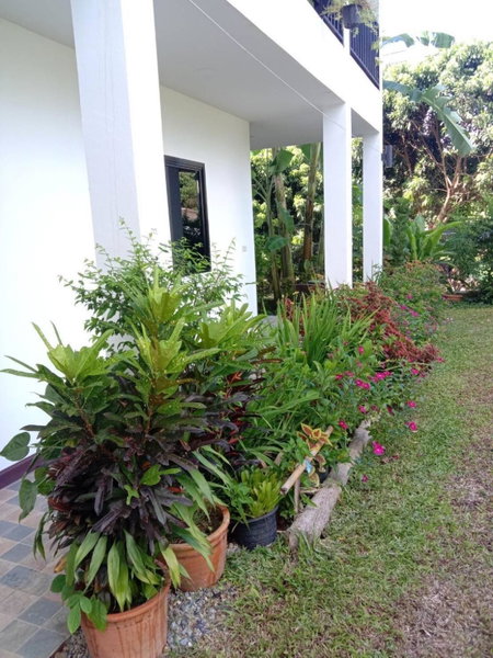 Miggi's Home, Mae On, Thailand