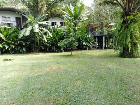 Khaosok River Camp, Khao Sok, Thailand