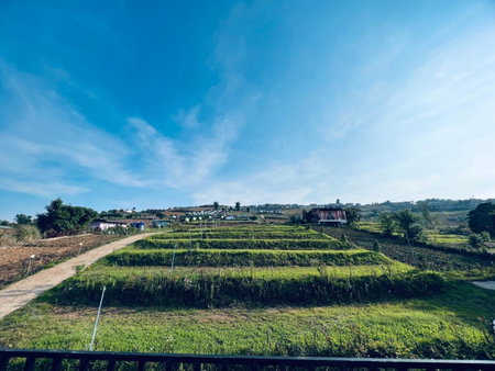 Rai Rak Doi Phu Thap Boek, Ban Maeo Thap Boek, Thailand