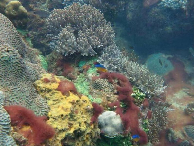Greenseaviewresort Bangsaphan, Bang Saphan, Thailand