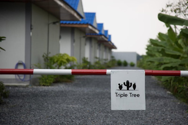 Triple Tree Resort, Lam Luk Ka, Thailand