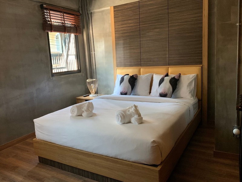Pinghostel - Adults Only, Chiang Mai, Thailand