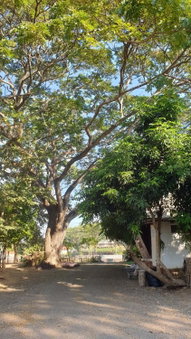 จำค่า ชาเลท์ บ้านพักสวนเกษตร (Jumka Chalet - Home and Farm Stay), Ban Cham Kha, Thailand
