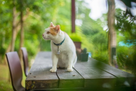 Baan Katisod, Pai, Thailand
