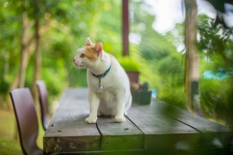 Baan Katisod, Pai, Thailand