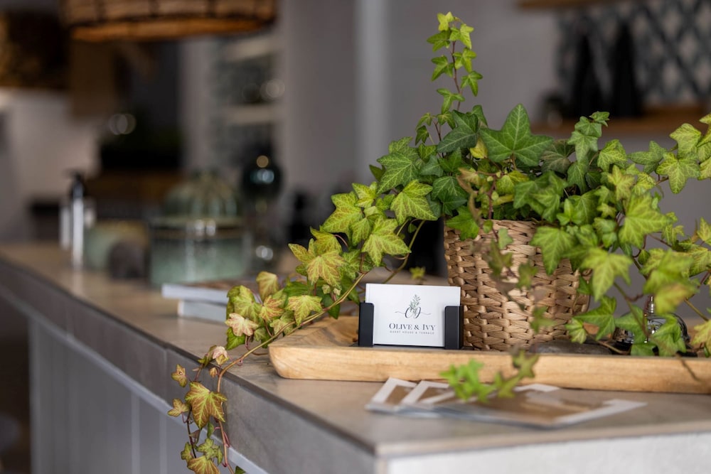 Hotel · Olive & Ivy Guest House, Canillas De Aceituno