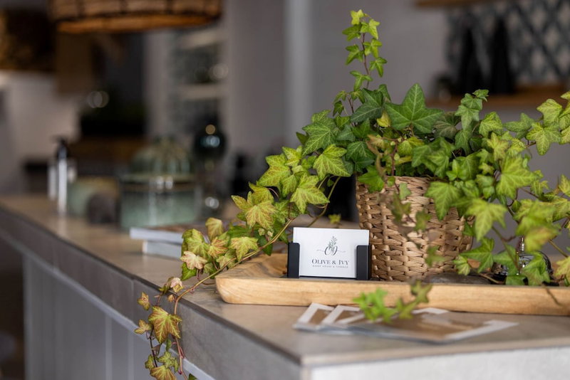 Olive & Ivy Guest House, Canillas de Aceituno, Spain