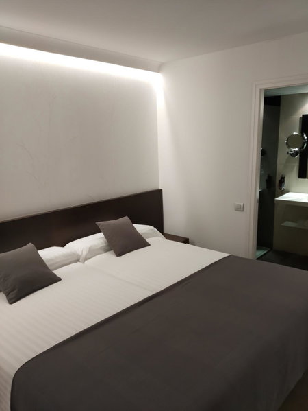 Hotel Olot Centre, Olot, Spain