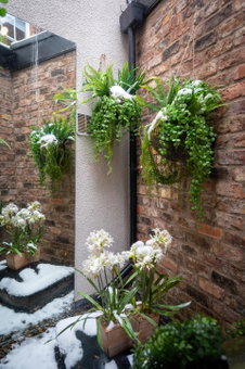 At Home Apartments, Shrewsbury, United Kingdom