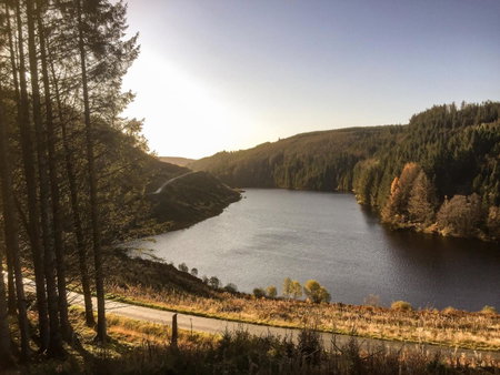 Riverbank Bed and Breakfast, Llanwrtyd Wells, United Kingdom