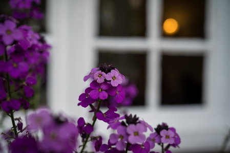 Findon Manor Hotel, Worthing, United Kingdom