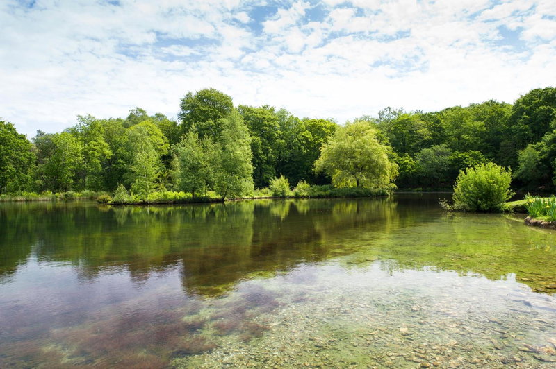 Pinetum Garden Cottages, St Austell, United Kingdom