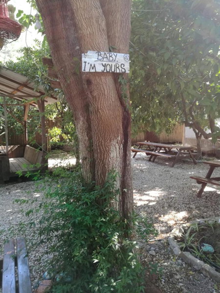 Olympos Yakamoz Pansiyon, Olympos, Turkey
